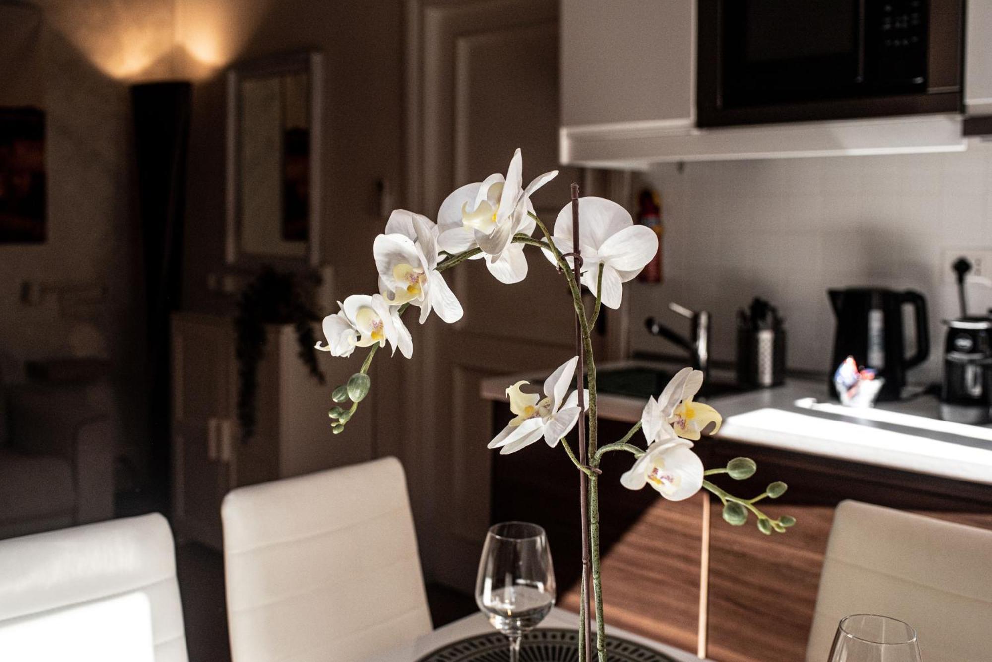Spanish Steps Apartment & Terrace روما المظهر الخارجي الصورة
