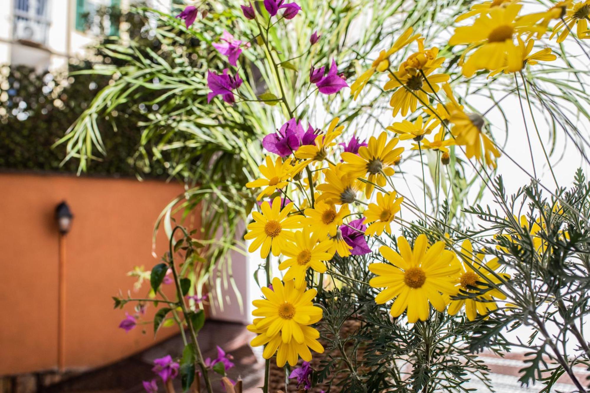 Spanish Steps Apartment & Terrace روما المظهر الخارجي الصورة